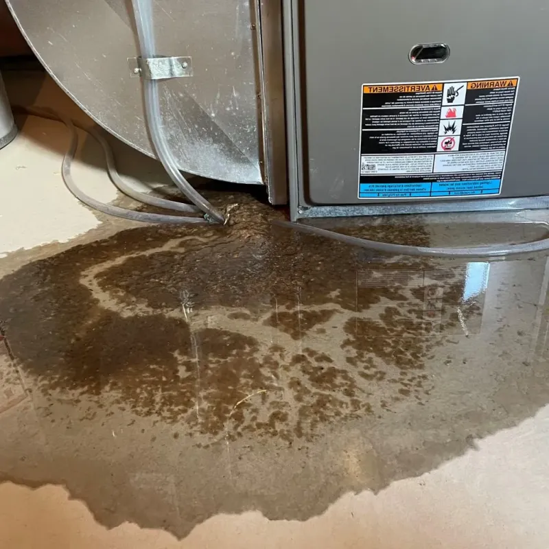 Pipe Burst and Leak Restoration in Richland Center, WI
